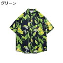 【20%OFFクーポン】アロハシャツ メンズ ビーチシャツ 春夏 半袖 五分袖 開襟 総柄 通気速乾 薄手 柔らかい 爽やか ゆったり おしゃれ カジュアル カップル 夏服 ストリート 花柄シャツ 部屋着 リゾート 旅行 お出かけ プレゼント