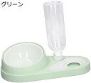 【20%OFFクーポン〜】ペットボウルセット 首 圧力 軽減 15度傾斜 給餌ペットウォーター フードボウルセット セラミック 2イン1 日常生活用 グリーン