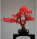 【20%OFFクーポン】室内装飾用の人工観葉植物 人工盆栽の木の鉢植えの植物の飾り盆栽シミュレーション盆栽緑の植物の偽物の装飾池のホームオフィスの陳列のための植...