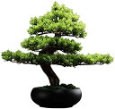 【20%OFFクーポン】人工植物 6.7インチ ブラックセラミックポット 人工盆栽 フェイク鉢植え ホームガーデン オフィス 結婚式の装飾用 高さ15インチ 人...