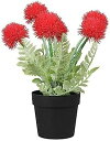 【20%OFFクーポン】人工植物タンポポシミュレーションフラワープラスチック鉢植え組み合わせデスクトッププラスチックフラワー造花シミュレーション盆栽ビッグレッド