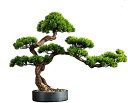 【20%OFFクーポン】人工観葉植物 人工植物ソリッドウッドシミュレーションウェルカムマツホテルデスクトップポーチリビングリビングルーム 装飾品 人工盆栽
