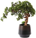 【20%OFFクーポン】室内装飾用の人工観葉植物 緑の人工盆栽 歓迎の松の木 シミュレートされた多肉植物 シミュレーション鉢植えの植物 装飾盆栽 デスクディスプ...