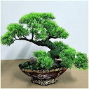 【20%OFFクーポン】人工観葉植物 13インチシミュレーション快適な松、人工松の木の緑の植物鉢植えの装飾、バルコニーのリビングルームと寝室で使用されています ...