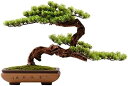 【20%OFFクーポン】人工盆栽ツリー シミュレーション盆栽 フェイクパイン 盆栽装飾 レセプションホール 自習室 21.6×16.5インチ 人工観葉植物