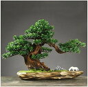 【20%OFFクーポン】人工木 偽の木 シ 人工盆栽の木、家、オフィスの装飾のための鉢植え人工ハウス植物 ライフベター人工盆栽を作ります 人工観葉植物