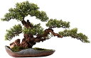 【20%OFFクーポン】人工観葉植物 中国禅盆栽 シミュレーションマツ 鉢植えのフロントポーチの装飾 フェイクグリーンプラントオーナメント 人工観葉植物