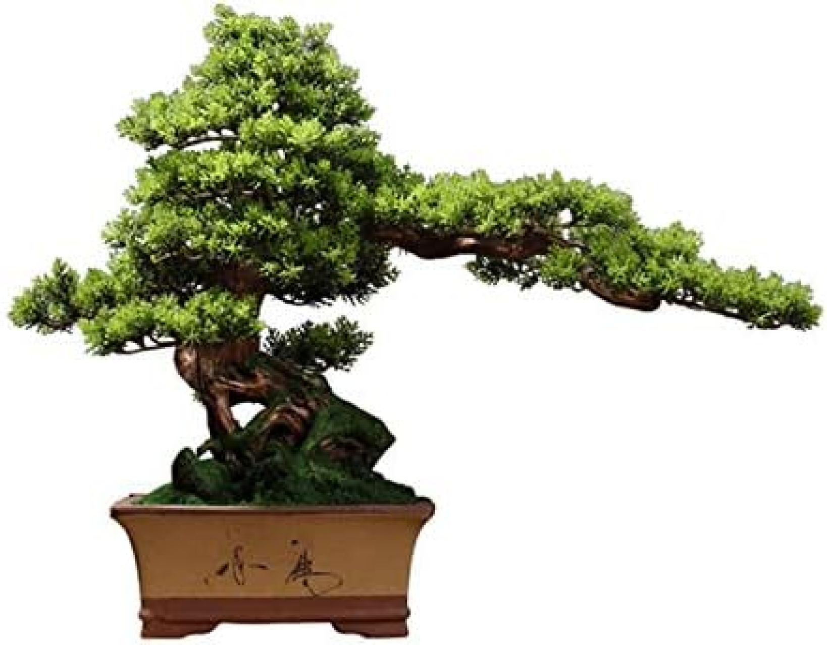 【20%OFFクーポン】人工観葉植物 オフィスレストランの家の装飾、19.7 hのための人工盆栽の木シミュレーション歓迎松の盆栽植物の飾りセラミック植木鉢の植物植物 人工盆栽