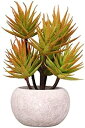 【20%OFFクーポン】人工観葉植物アロエベラフルーツボールパルプ鉢植え組み合わせデスクトップ人工鉢植えプラスチックフラワーグリーンプラント造花シミュレーション...