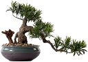 【20%OFFクーポン】人工樹木 人工盆栽の木17インチの鉢植えの植物の偽の木の鍋の装飾品、自宅のオフィスの机の装飾のための盆栽の植物 人工観葉植物