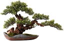 【20%OFFクーポン】室内装飾用の人工観葉植物 人工盆栽ツリー グリーンシミュレーション盆栽ツリー 26インチ 大型人工ヒノキツリー 屋内 オフィス デスクト...