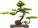 【20%OFFクーポン】人工植物 盆栽禅 フェイクグリーンプラント オーナメント 屋内 リビングルーム オフィス デスクトップ 造園 盆栽 装飾 人工観葉植物