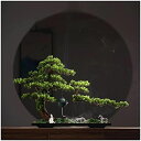 【20%OFFクーポン】人工観葉植物 人工ツリーシミュレーションツリー盆栽 ホテルエントランスホームデコレーション 19インチ 人工盆栽