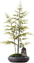 【20%OFFクーポン】偽物の植物/人工樹木 人工植物の装飾品禅模造竹盆栽ロッキーポーチリビングルームティールームホテルソフト装飾 27.5インチ 人工観葉植物