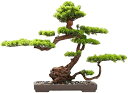 【20%OFFクーポン】人工観葉植物 人工植物盆栽禅の偽の緑の植物屋内のリビングルームのオフィスのデスクトップの造園盆栽の装飾のためのウェルカム松の装飾品 人工...
