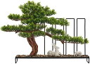 【20%OFFクーポン】人工観葉植物 シミュレーション盆栽ツリー中国風のようこそ松の植物屋内鉢植えの緑の植物の装飾ホームオフィスポーチ乾燥風景禅デスクトップ 人...