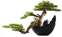 【20%OFFクーポン】人工観葉植物 シミュレーション ルートカービング ツリー 盆栽装飾 リビングルーム ポーチ オフィス デスクトップ ソフトデコレーション...