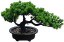 【20%OFFクーポン】人工観葉植物 人工鉢植えの植物7.5 ''高シミュレーション緑の植物小さな鉢植えの人工盆栽の木屋内鉢植えの植物の装飾ホームオフィスの本棚...