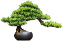 【20%OFFクーポン】人工盆栽の木 鉢植えの植物の飾り 盆栽シミュレーション盆栽植物 偽の植物の装飾 鉢植えの人工観葉植物 デスク ホーム オフィス用 人工観...