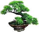 【20%OFFクーポン】人工観葉植物 シミュレーションツリー 松偽植物屋外ガーデンホームオフィス装飾シミュレーションツリー人工盆栽鉢植え植物 人工盆栽