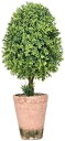 【20%OFFクーポン〜】フェイク観葉植物パイナップルモスカップパルプグリーンプラント鉢植え植物コンビネーションデスクトップ人工鉢植え植物シミュレーショングリー...