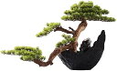 【20%OFFクーポン】室内装飾用の人工観葉植物 人工盆栽の木 屋内用人工緑盆栽 無垢材 装飾盆栽 樹脂植木鉢付き 家庭、オフィス、デスクの装飾 偽の植物