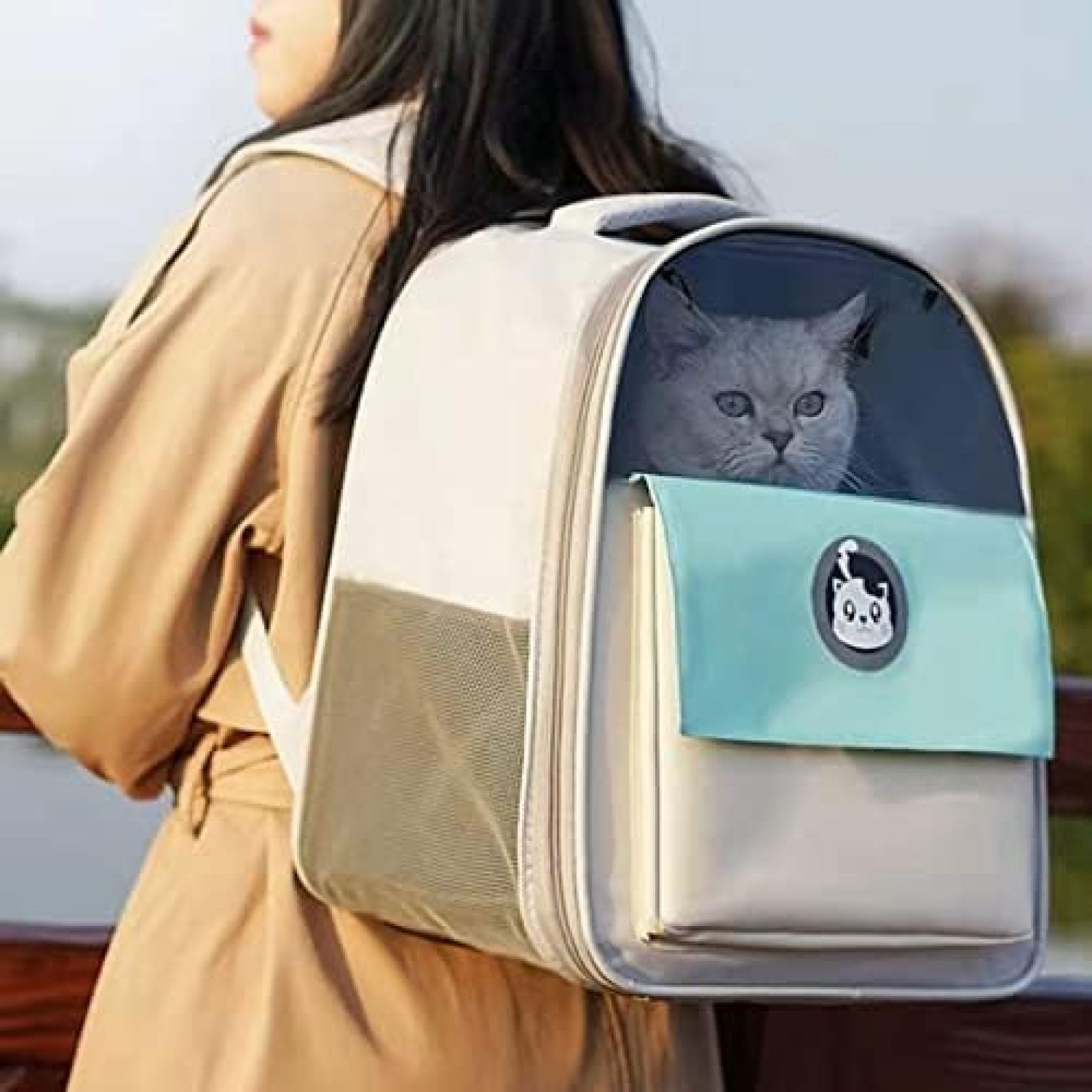 20%OFFݥǭ꡼ å ڥåȥХå ǭå å  ưʪ ڥåȥ꡼ İ  Ѳٽ8...