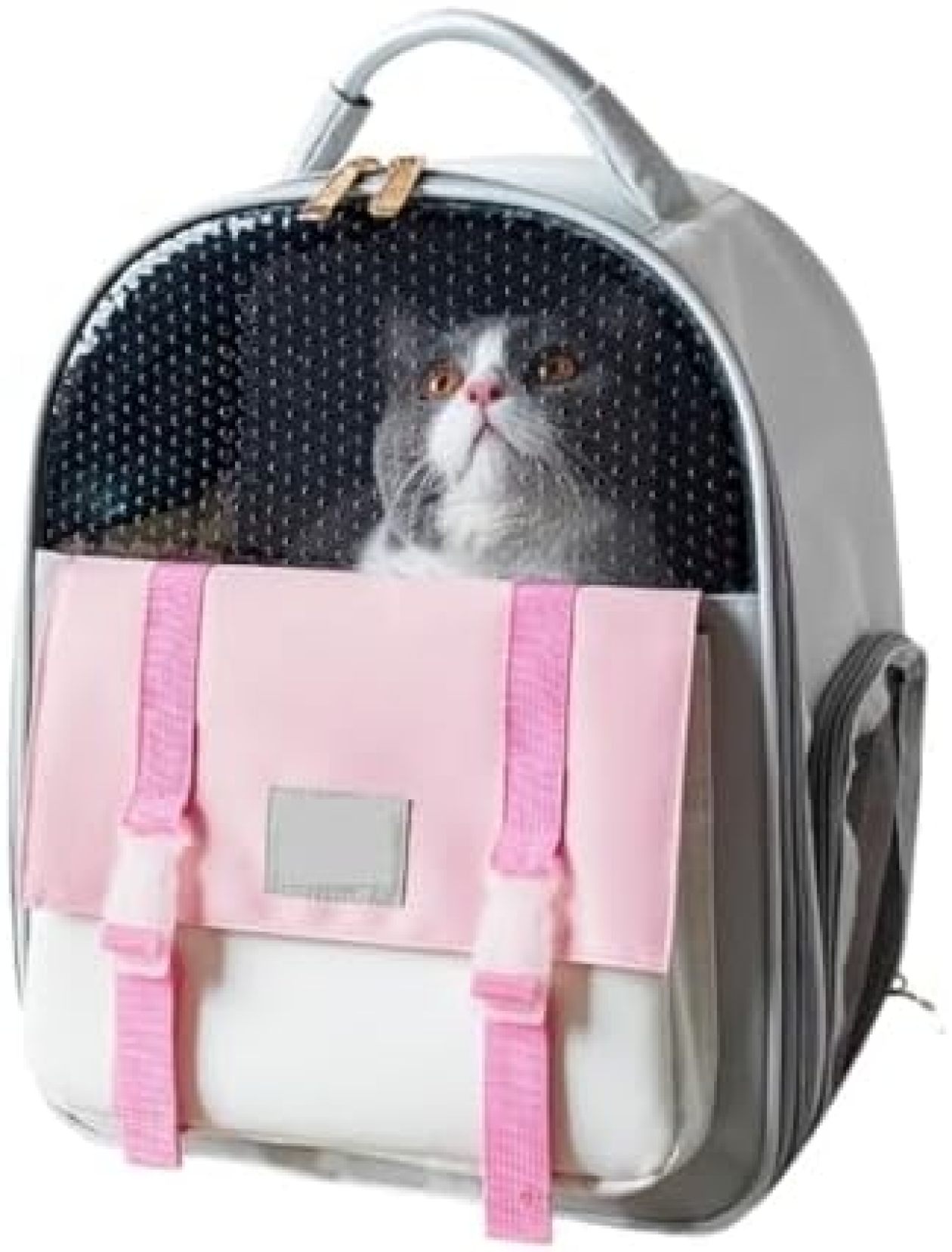 20%OFFݥۥڥåȥ꡼å ǭ ꡼ Хå ڥå å ڥåȥХå ڥåȥХåѥåιԥڥåȥХå...