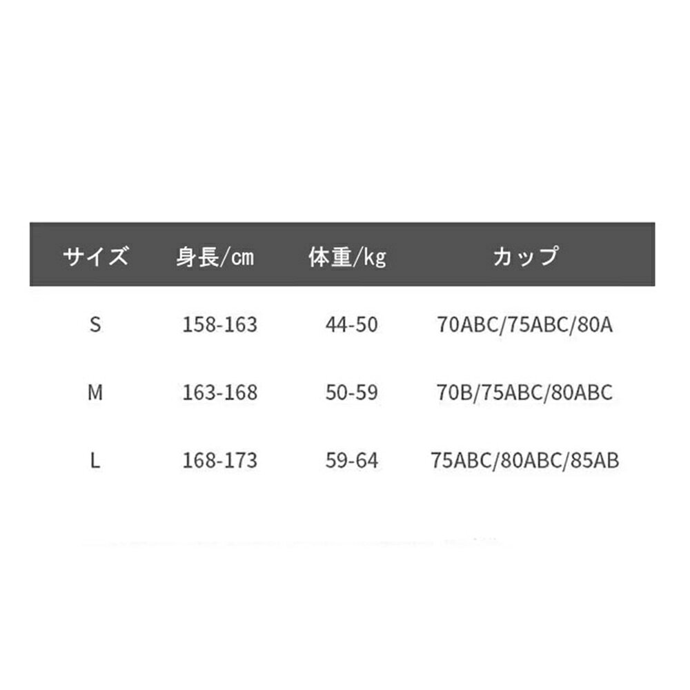 【20%OFFクーポン〜】マイクロビキニ　ビキニ　セクシー　ビーチウェア　レディース　ワンピース　リゾート　3点セット　ハイウエスト　極小　過激　ビキニブリーフ　ブラック　L