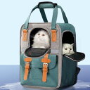 おでかけペットキャリー 犬 猫 キャリー バッグ 猫用 小型犬用 リュック 大容量 メッシュ 通気性 設計6 折り畳み M 猫 キャリー 飛び出し防止リード 軽量 ペット キャリーバッグ 可愛い ペッ