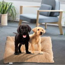 犬 ベッド 猫 ベッド 通年 洗える ふわふわ ペットベッド 丸洗い 室内 オールシーズン ソファー 北欧 おしゃれ 可愛い 猫ベッド 犬ベッド ねこ いぬ 成...