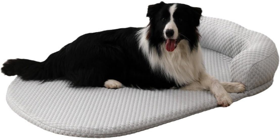 猫 ベッド 犬 ベッド 通気性よい 夏 ペットベッド ペットクッション 80*60cm 夏用 ペットソファー 小型 中型犬 猫 小動物 柔らかい 寝床 ふわふわ ペットマット 超小型犬用 猫用 洗える