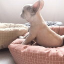 犬 猫 ベッド 可愛い ペットベッド ふわふわ オールシーズン 小型犬 中型犬 レッド L 猫 ペット用 ベッド クッション 夏用 グッズ 猫用 犬用 ペット雑...