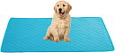 大型犬 40*30cm 犬 猫用洗えるペットシーツ トイレシーツ 吸水マット 2枚組 ブルー 速乾 防水 抗菌 消臭 滑り止め ずれない おしっこパッド 介護シ...