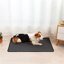 犬 35*50cm 猫用洗えるペットシーツ ペットマット トイレシート おしっこマット ペット用 トイレ下敷きマット 速乾 滑り止め 洗える 繰り返し使える グ...
