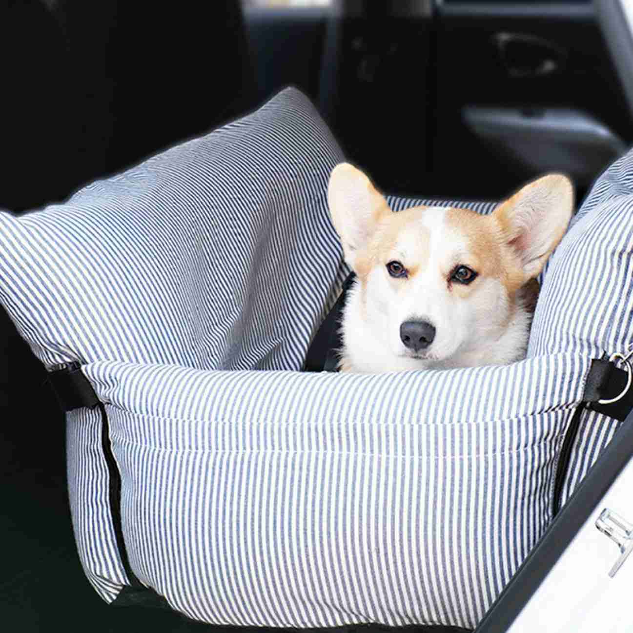 犬 ベッド ドライブベッド 設計1 クッション 夏 犬 車 ドライブボックス おでかけ 旅行 犬用ベッド ペット用ドライブボックス 中小型犬 防災 ベッド キャリーバッグ 後部座席 ペット用品 76*