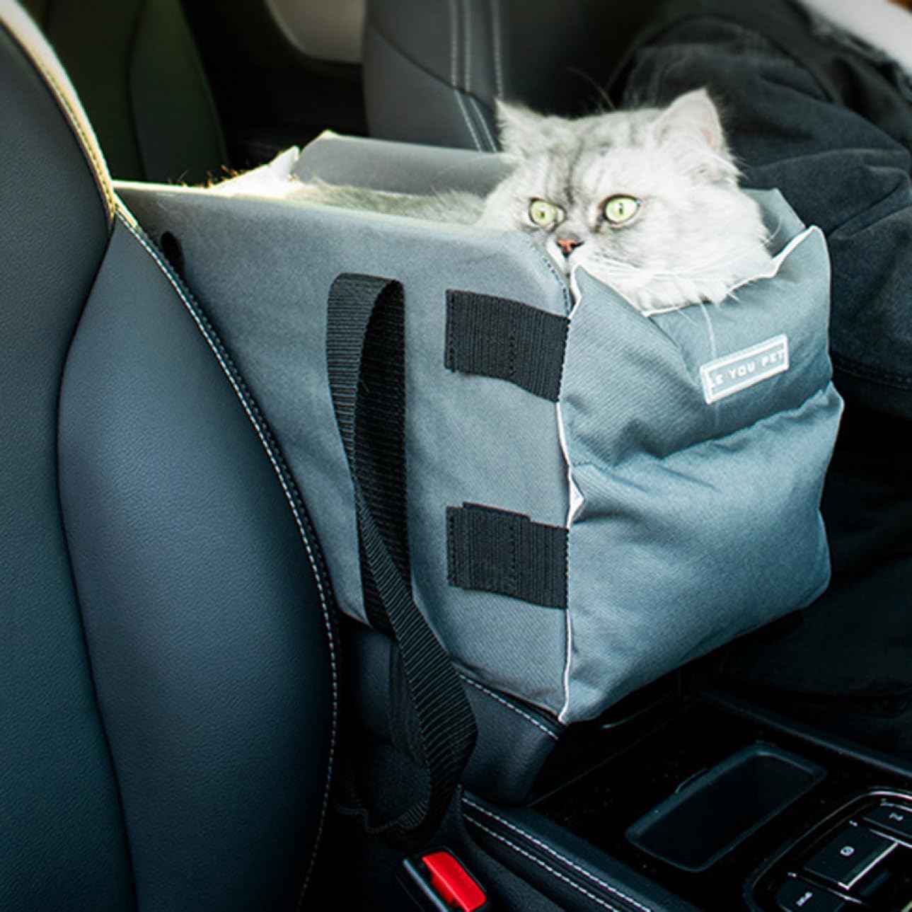 ドライブキャリー ベッド 小型犬 子犬 ペット 犬 48*22*24cm 車 ドライブボックス キャリーバッグ ドライブベッド 車用ペットシート グレー ペットソファ ペットクッション カー用品 お出