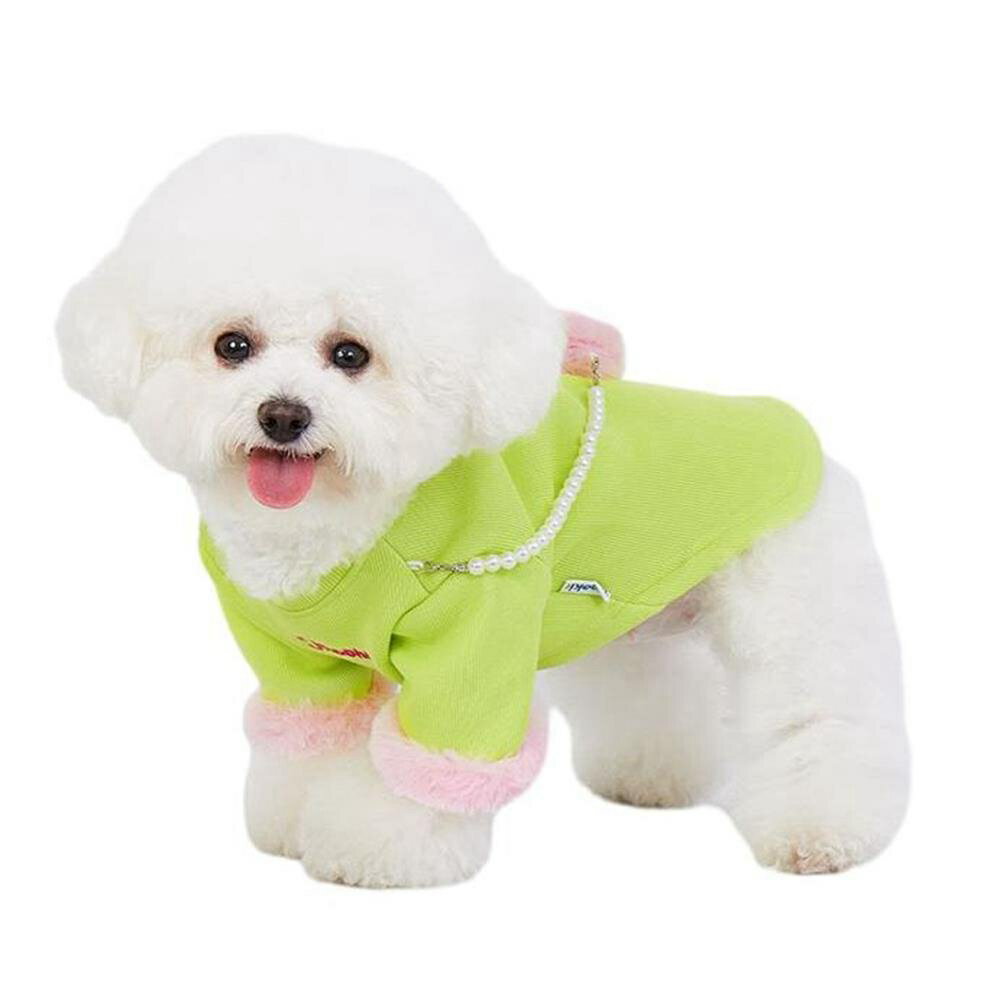 20%OFFݥۥڥåȡǭ졡ߡѡTġե󡡿͵塼ࡡ淿...