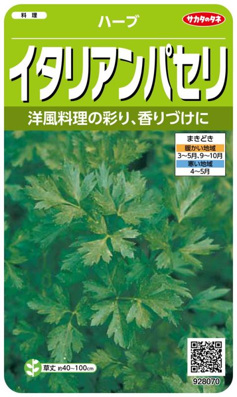 サカタのタネ 実咲ハーブ8070 イタリアンパセリ ハーブ 00928070