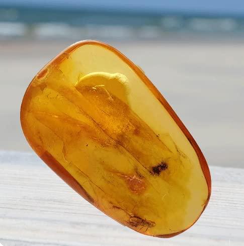 SCIENCE Baltic Amber「虫入り琥珀（Insects in Amber）約7-12mm バルト海 アンバー(樹脂の化石) 産地：Balttic Sea」オリジナル標本ケ..