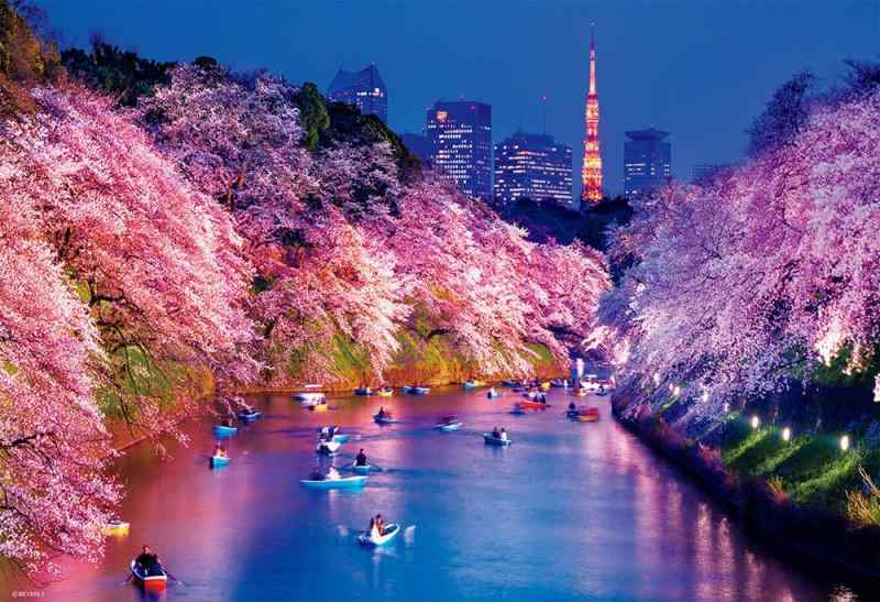 【日本製】 ビバリー 300ピースジグソーパズル 千鳥ヶ淵の夜桜（26×38cm）33-207