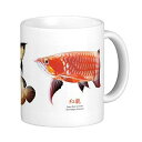3種類のアジアアロワナのマグカップ 2：フォトマグ（世界の熱帯魚シリーズ）