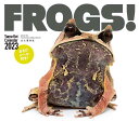 カレンダー2023 FROGS (月めくり/壁掛け) (ヤマケイカレンダー2023)