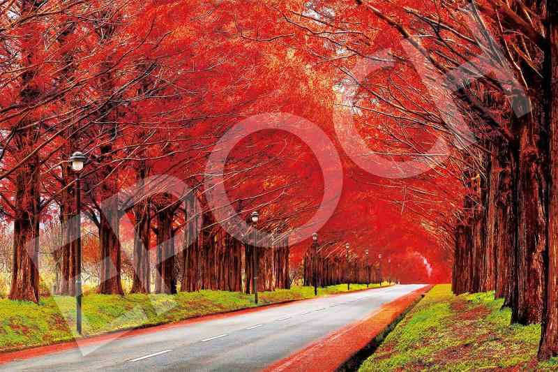 エポック社 1000ピース ジグソーパズル 日本風景 紅葉のメタセコイアの並木道 (50×75cm) 09-019s のり付き ヘラ付き 点数券付き EPOCH