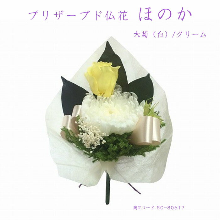 プリザーブド仏花 ほのか大菊(白)/クリームそのまま生けられる 仏花アレンジメント お仏壇 お供え 花材 お盆 お彼岸