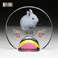 ソフィアクリスタル