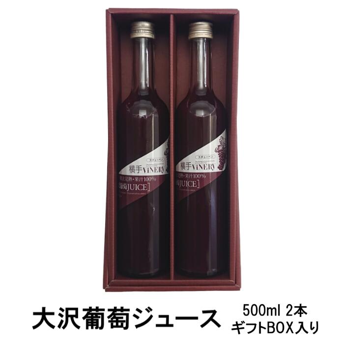 ViNERY(ʥ꡼)ƺ塼 500ml 2ܥå եBOXʴ/֤ɤ塼/졼ץ塼/ȥ졼ȥ塼/̽100/£ʪ/£/ڻ/ץ쥼//ˤ