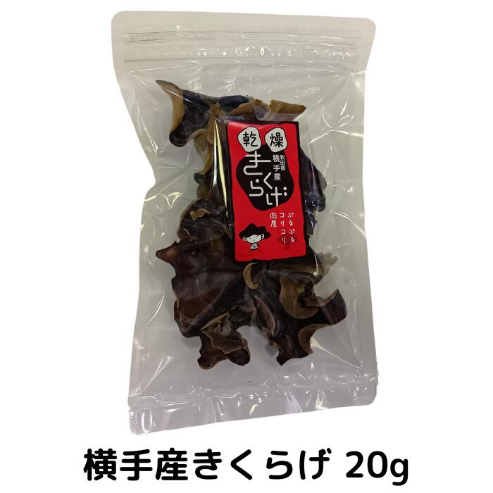 きくらげ 20g（国産/秋田県横手産/無農薬/菌床栽培）