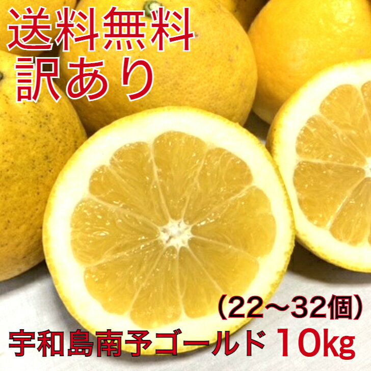 愛媛県産訳あり宇和島南予ゴールド10Kg（22〜32個）　訳あり　送料無料【北海道・沖縄別途800円・離島別途】サイズ（M〜4L）樹齢25年・宇和ゴールド・河内晩柑・美生柑・みかん・和製グレープフルーツ・訳あり・柑橘・フルーツ・家庭用・クーポン・夏分担・オレンジ