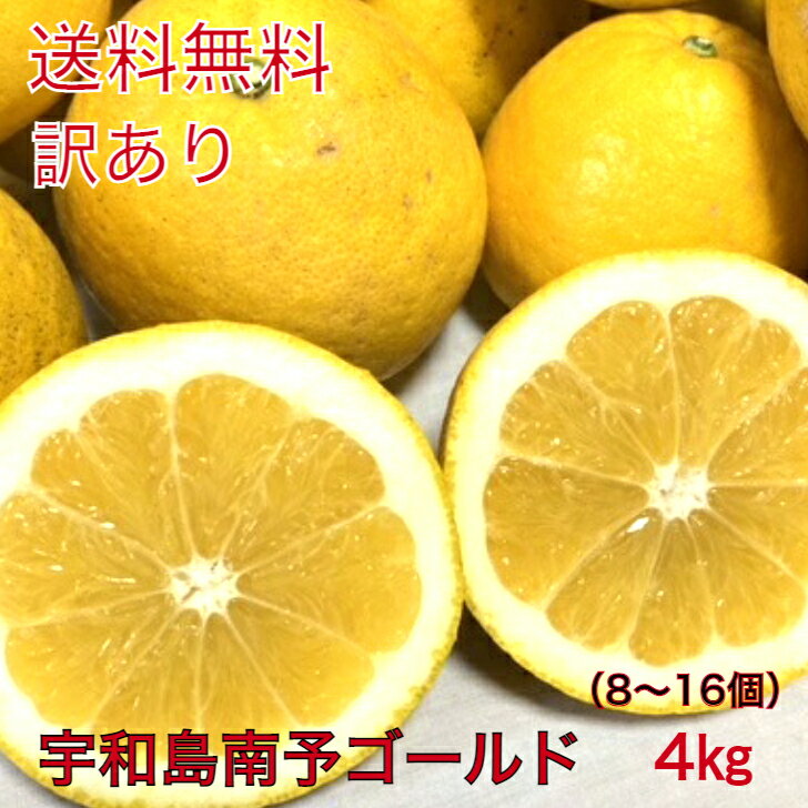 愛媛県産訳あり宇和島南予ゴールド4キロ 10〜14個 【送料無料 北海道・沖縄別途800円・離島別途】サイズ M〜4L 【樹齢25年】【宇和ゴールド】【河内晩柑】【美生柑】みかん・和製グレープフル…